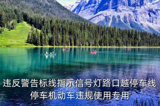 違反警告標(biāo)線指示信號(hào)燈路口越停車線停車機(jī)動(dòng)車違規(guī)使用專用