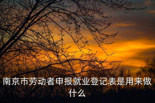 南京市勞動者申報就業(yè)登記表是用來做什么
