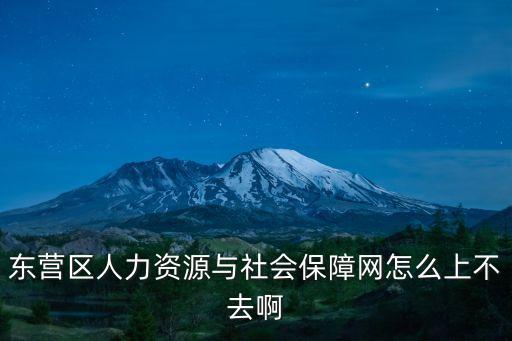 東營區(qū)人力資源和社會保障局，東營區(qū)人力資源與社會保障網(wǎng)怎么上不去啊