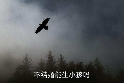 不結(jié)婚生子，不結(jié)婚可不可以自己生孩子呢