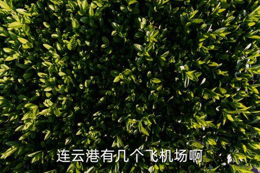 連云港有幾個(gè)飛機(jī)場(chǎng)啊