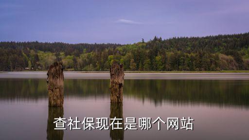 查社保現(xiàn)在是哪個(gè)網(wǎng)站