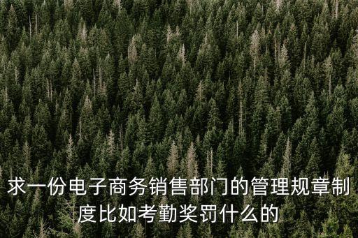 電商公司規(guī)章制度，求一份電子商務(wù)公司運(yùn)營(yíng)管理制度