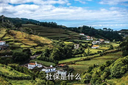 社保是指什么，社保具體是指的哪些保險(xiǎn)