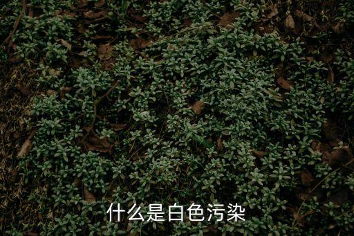 白色污染指的是什么，白色污染指什么