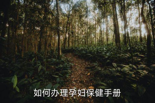 孕婦健康手冊，孕婦保健手冊必須辦嗎