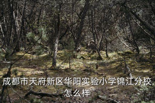 成都市天府新區(qū)華陽實(shí)驗(yàn)小學(xué)錦江分校怎么樣