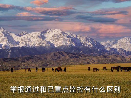 舉報通過和已重點監(jiān)控有什么區(qū)別