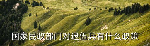 退伍軍人政策，退伍軍人應該享有哪些政策