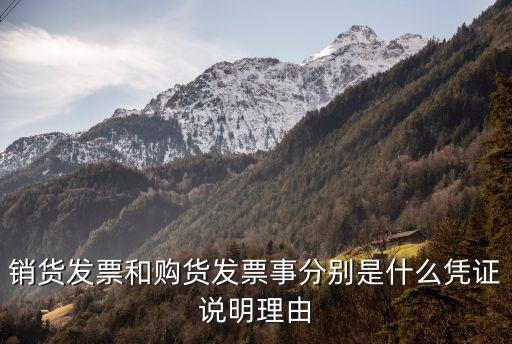 銷貨發(fā)票和購貨發(fā)票事分別是什么憑證說明理由