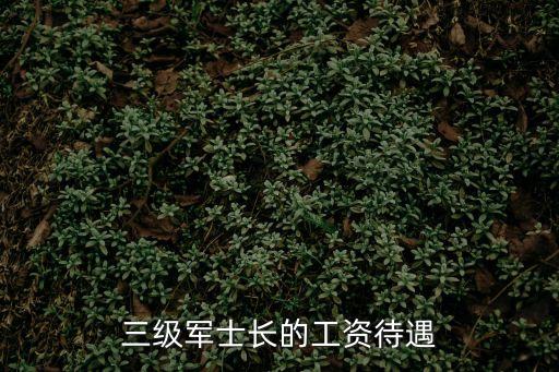 三級軍士長的工資待遇