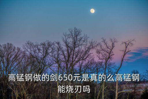 高錳鋼做的劍650元是真的么高錳鋼能燒刃嗎