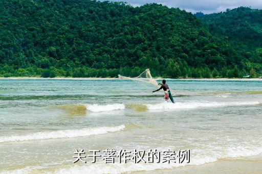 版權(quán)素材，vjshi中有RF授權(quán)的素材算是版權(quán)素材嗎