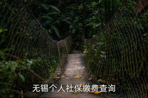 無錫社保查詢，無錫社?？ɡU費(fèi)明細(xì)怎么查詢呢