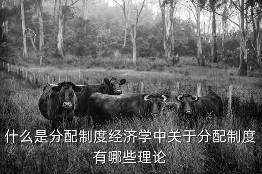 分配制，分配制度是什么