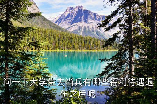 問一下大學生去當兵有哪些福利待遇退伍之后呢