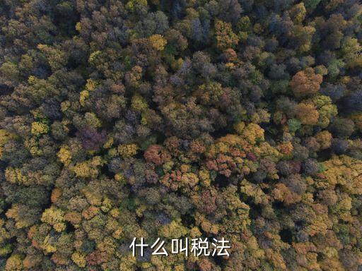 稅法，什么叫稅法