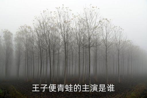 陳金枝，王子變青蛙里陳金枝 唐順明 和天瑜爸爸之間的關(guān)系