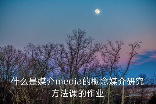 公共媒體，公共傳播媒體是一面社會的鏡子   A它反映的是正面的東西B它反映的