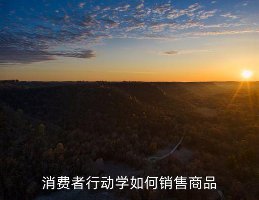 消費者行動學(xué)如何銷售商品