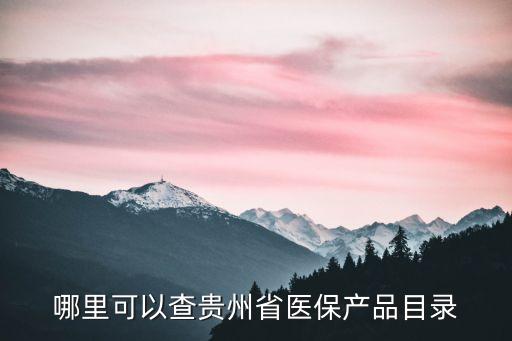 哪里可以查貴州省醫(yī)保產(chǎn)品目錄