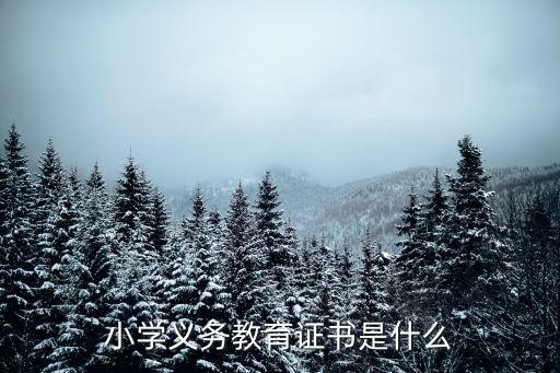 小學(xué)畢業(yè)證，小學(xué)畢業(yè)有沒(méi)有畢業(yè)證呢
