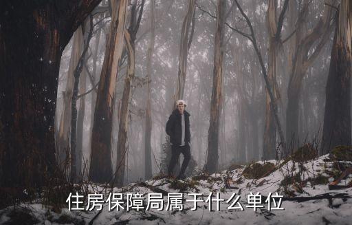住房保障局屬于什么單位