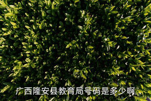 廣西隆安縣教育局號碼是多少啊