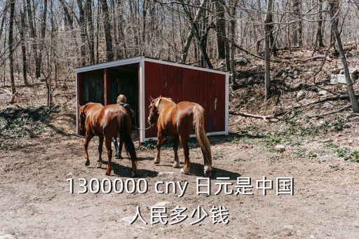 1300000 cny 日元是中國(guó)人民多少錢(qián)