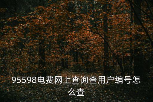 95598電費(fèi)網(wǎng)上查詢查用戶編號怎么查