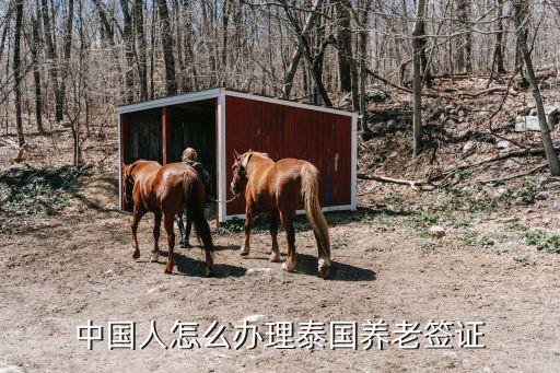 泰國(guó)養(yǎng)老簽證，泰國(guó)養(yǎng)老簽證怎么辦理