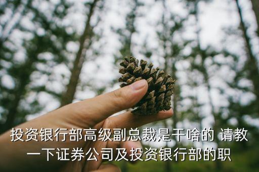 投資銀行部高級(jí)副總裁是干啥的 請(qǐng)教一下證券公司及投資銀行部的職