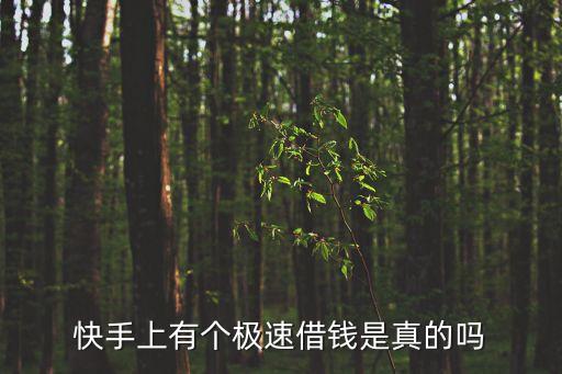 快手上有個(gè)極速借錢(qián)是真的嗎