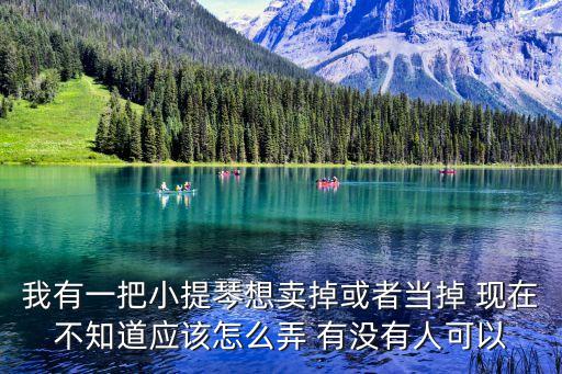 轉(zhuǎn)讓小提琴，二手小提琴能賣(mài)多少錢(qián)
