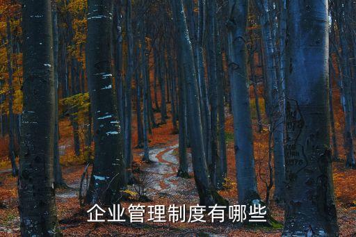 企業(yè)管理制度有哪些