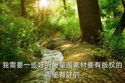 我需要一些好的矢量圖素材要有版權(quán)的哪里有好的