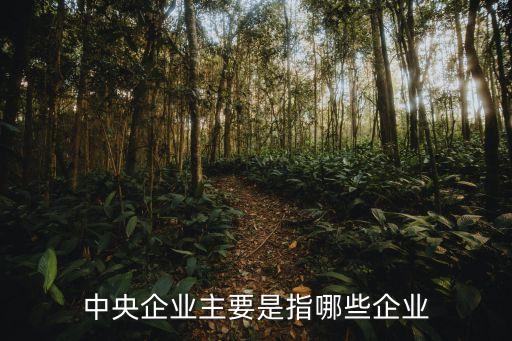 什么是央企，中央企業(yè)主要是指哪些企業(yè)
