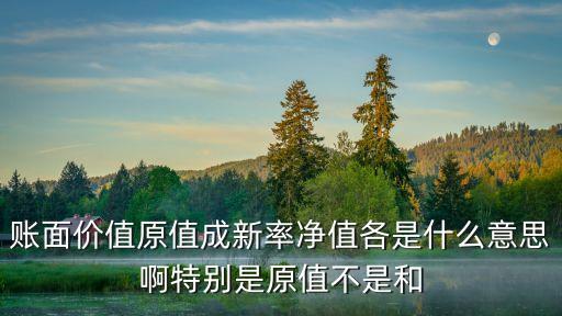 賬面價值原值成新率凈值各是什么意思啊特別是原值不是和