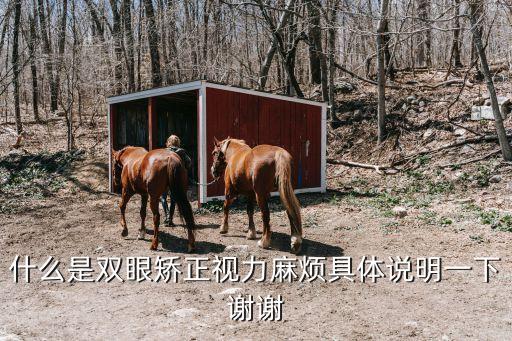 雙眼矯正視力，雙眼矯正視力是什么意思