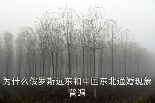 為什么俄羅斯遠(yuǎn)東和中國(guó)東北通婚現(xiàn)象普遍