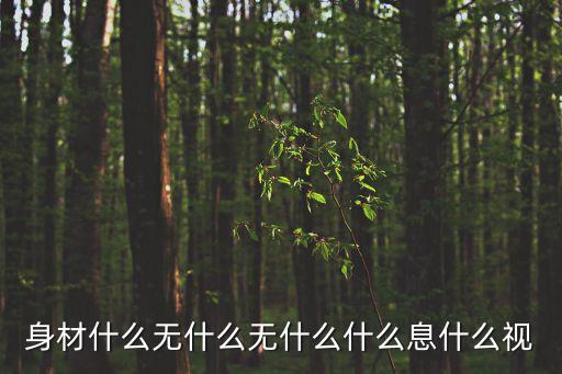 身材什么無什么無什么什么息什么視