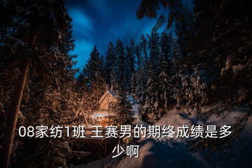 08家紡1班 王賽男的期終成績是多少啊