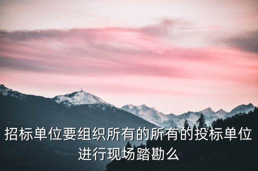 招標(biāo)單位要組織所有的所有的投標(biāo)單位進(jìn)行現(xiàn)場踏勘么