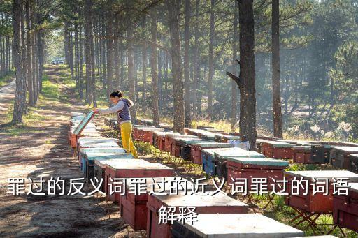 罪過，罪過是什么意思