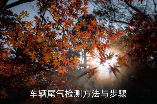 尾氣檢測，車輛尾氣檢測方法與步驟