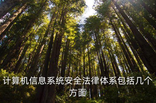 計算機信息系統(tǒng)安全法律體系包括幾個方面