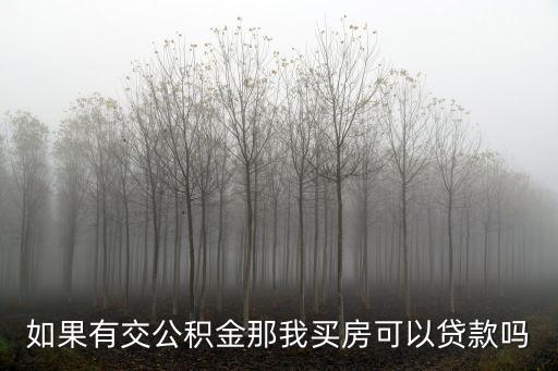 如果有交公積金那我買房可以貸款嗎