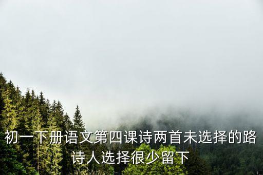 初一下冊(cè)語(yǔ)文第四課詩(shī)兩首未選擇的路詩(shī)人選擇很少留下