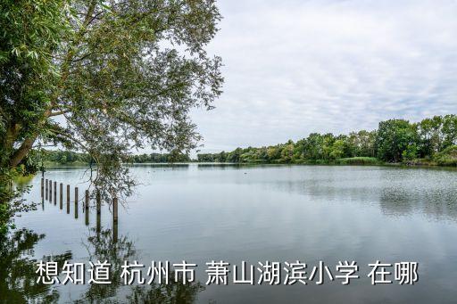 想知道 杭州市 蕭山湖濱小學(xué) 在哪