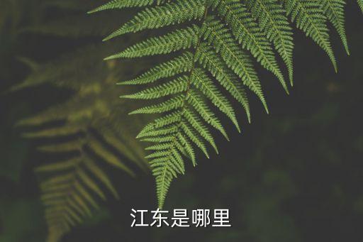 江東是哪里